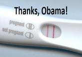 Thanks, Obama!