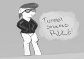 Tunnel Snakes Rule!