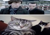 Sherlock