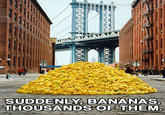 Suddenly, Bananas! Thousands Of Them!