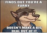 Furries