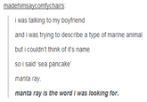 Tumblr