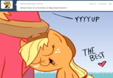 Tumblr Ask Blogs