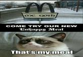 Grumpy Cat