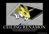 Ceiling Cat