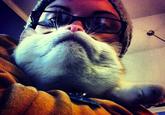 Cat Beards