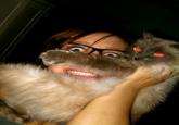 Cat Beards