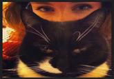 Cat Beards