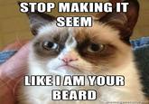 Cat Beards