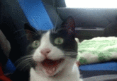 Reaction Faces