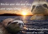 Sloths