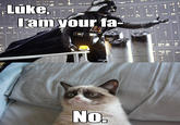Grumpy Cat