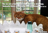 Mylo the Cat