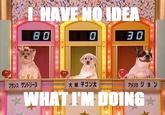 I Have No Idea What I'm Doing