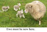 You Must Be New Here