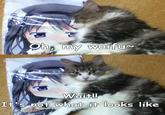 Waifu