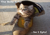 If It Fits I Sits