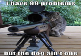 I Got 99 Problems But a Bitch Ain't One