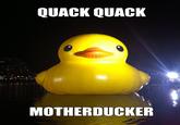 Big Yellow Duck