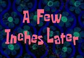 SpongeBob SquarePants
