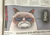 Grumpy Cat