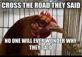 It Will Be Fun, They Said