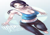 Wii Fit Trainer