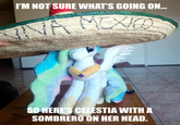 My Little Pony: Friendship is Magic