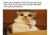 My Face When