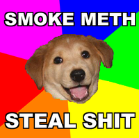 Advice Dog