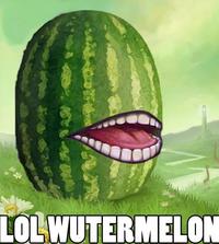LOLWUT