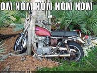 Om Nom Nom Nom