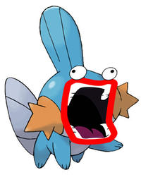 I Herd U Like Mudkips