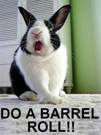 Do A Barrel Roll