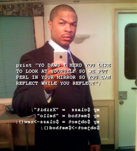 Xzibit Yo Dawg