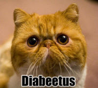 Diabeetus