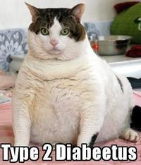 Diabeetus