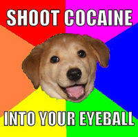 Advice Dog