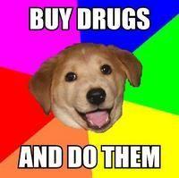 Advice Dog