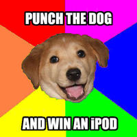 Advice Dog