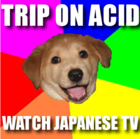 Advice Dog