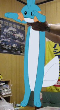 Longcat