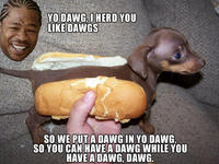 Xzibit Yo Dawg