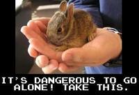It's Dangerous to Go Alone! Take This