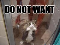 Do Want / Do Not Want