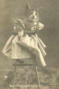 LOLcats
