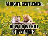 LOLcats