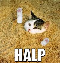 LOLcats
