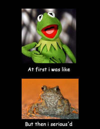 At First I Was Like...