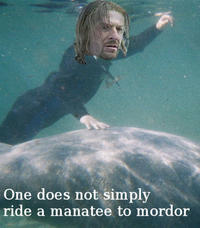 One Does Not Simply Walk into Mordor